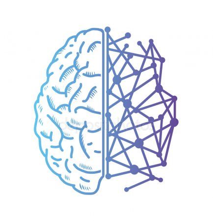 TALLER  APRENDE A PERCIBIR  CON EL HEMISFERIO  CEREBRAL DERECHO  A TRAVÉS DEL DIBUJO